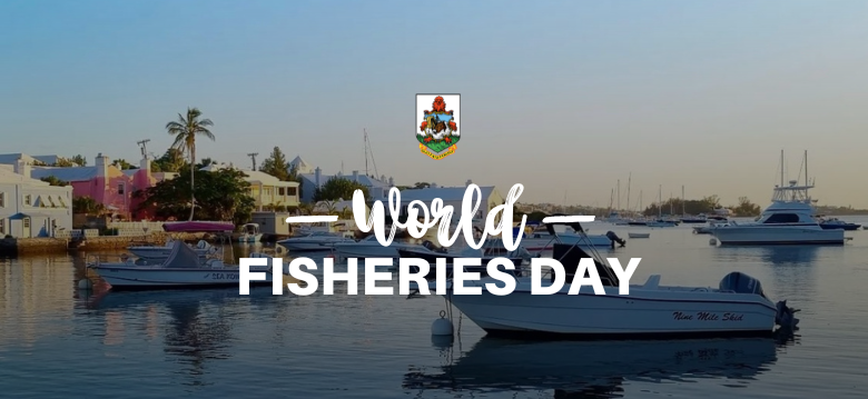 World Fisheries Day
