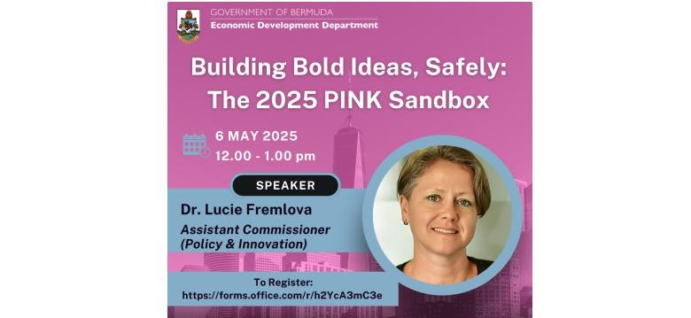 PINK Sandbox