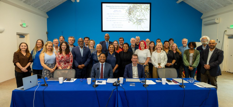 Hamilton_II_Declaration